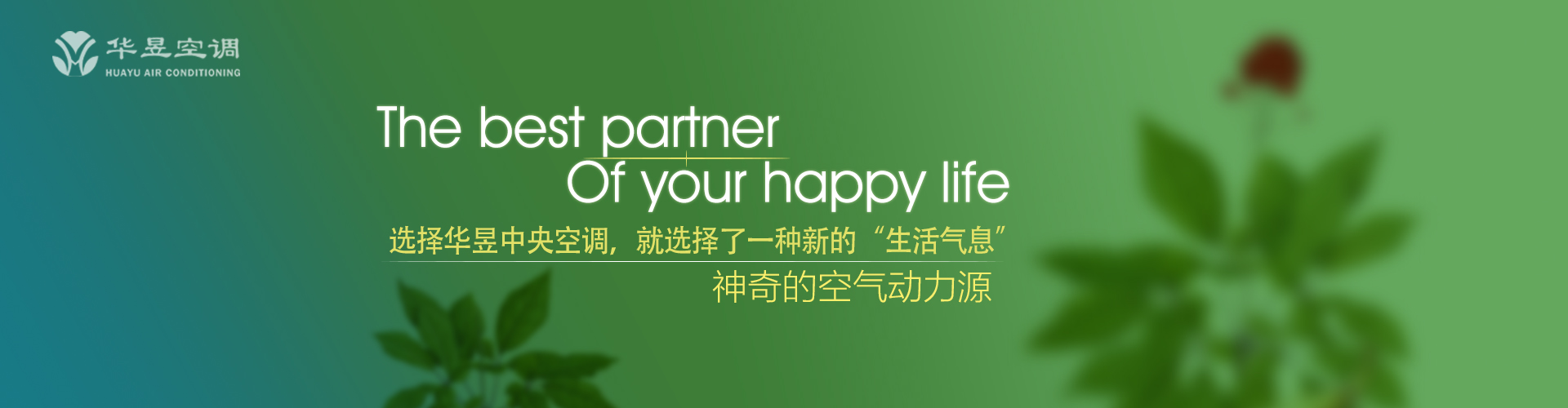 好事之徒网
